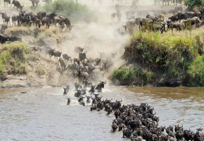 3-Day Fly-in Sleeping with Lions Safari in Serengeti
