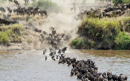 3-Day Fly-in Sleeping with Lions Safari in Serengeti
