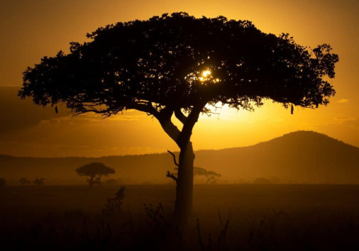 Nyota Luxury Camp 55 1024x640