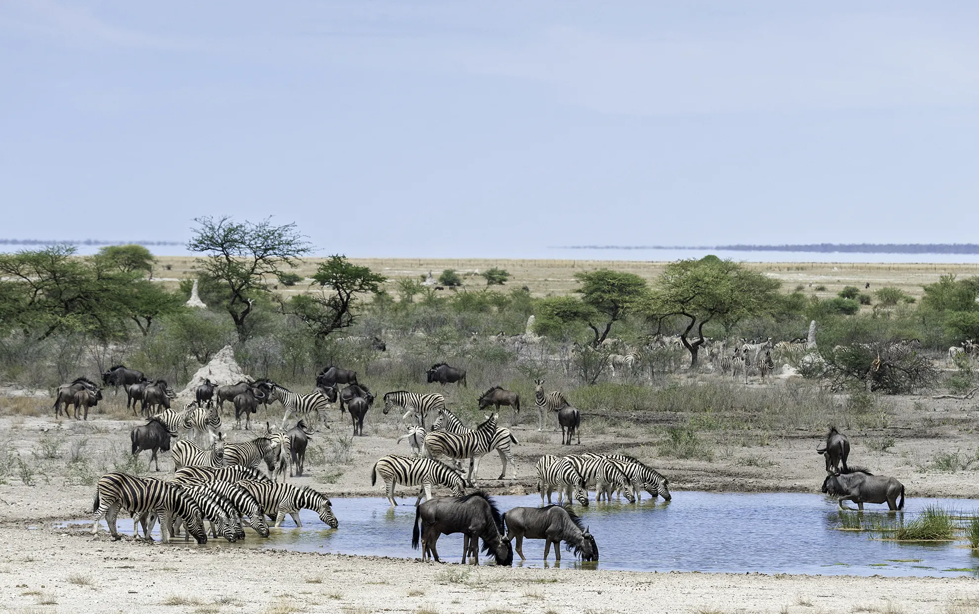 Onguma The Fort Waterhole