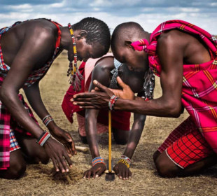 5-Day Expedite Northern Safari