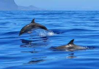 3-Day Mombasa Beach Holiday