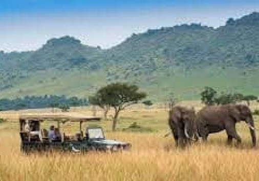 Whatsapp Image 2024 08 08 At 2.54.42 Am