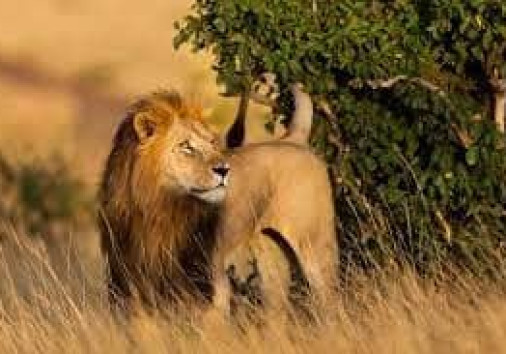 Whatsapp Image 2024 08 08 At 2.56.14 Am