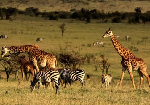 Whatsapp Image 2024 08 08 At 3.09.48 Am