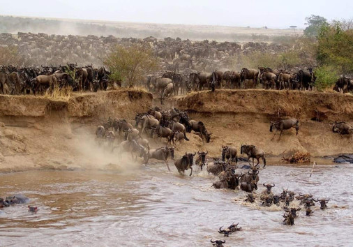 Whatsapp Image 2024 08 08 At 3.10.27 Am