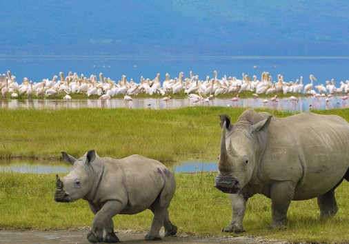 Whatsapp Image 2024 08 08 At 3.12.11 Am