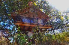 6-Day Tree Top Safari in Kruger National Park