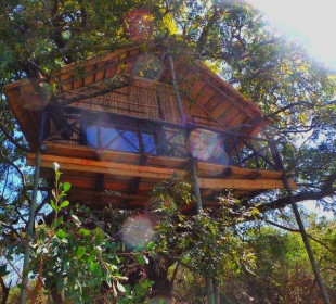 6-Day Tree Top Safari in Kruger National Park