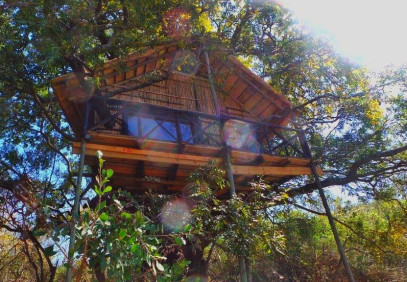6-Day Tree Top Safari in Kruger National Park