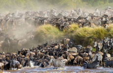 3-Day Maasai Mara Great Migration