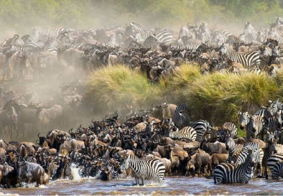 3-Day Maasai Mara Great Migration