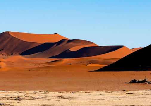 Deadvlei Namib Naukluft National Park Sossusvlei Namibia Dead Camelthorn Trees Against Orange Sand Dunes With Blue Sky