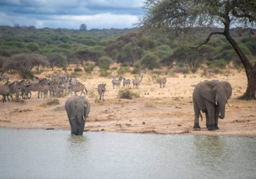 Istockphoto 1908958463 612x612