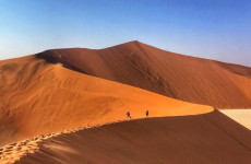 7-Day Desert, Dune and Wildlife Fly-in Safari
