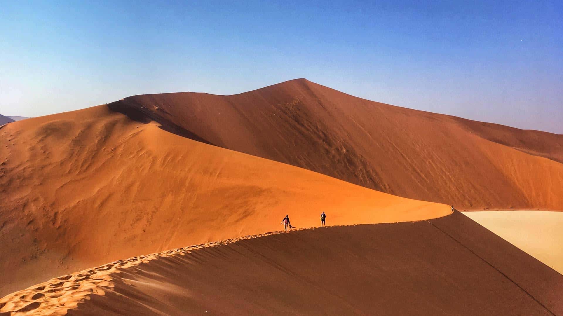 7-Day Desert, Dune and Wildlife Fly-in Safari