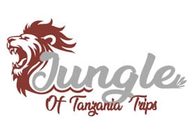 Jungle Of Tanzania Trips