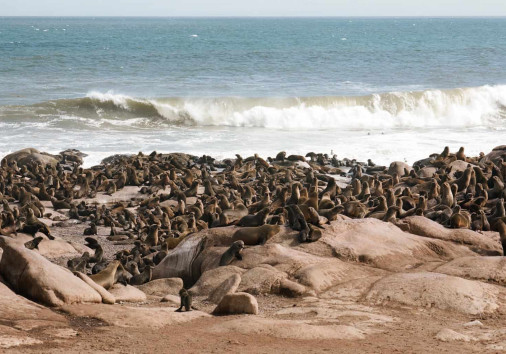 Portra 160 Rated 125