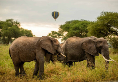 6-Day Classic Best of Northern Tanzania Safari