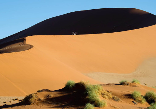 © Wildernes Big Daddu Sands Dune