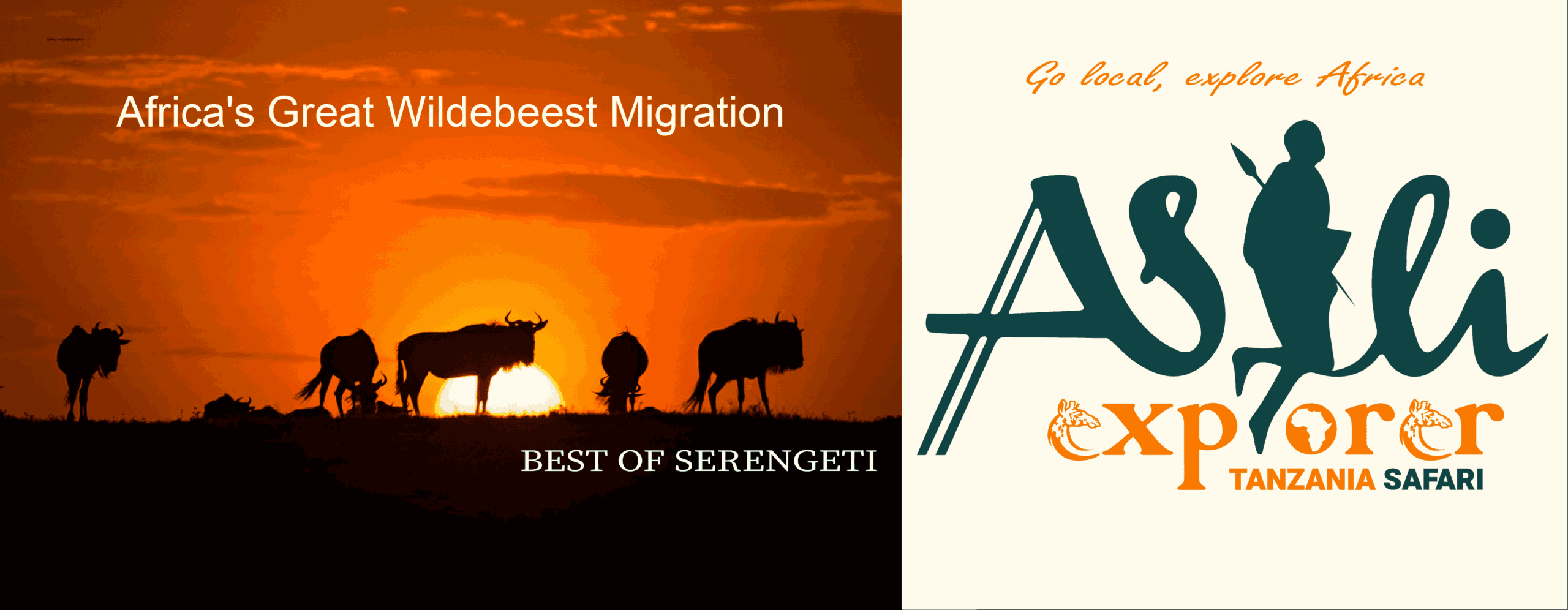 Asili Explorer Safaris