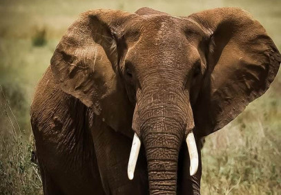 6-Day Tanzania Camping Safari