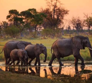 12-Day All Inclusive Luxury Safari & Beach Holiday