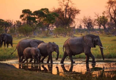 12-Day All Inclusive Luxury Safari & Beach Holiday