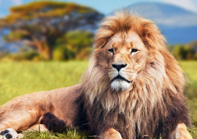 6-Day Exciting Kenya Bush Safari