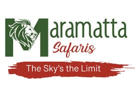 Maramatta Safaris