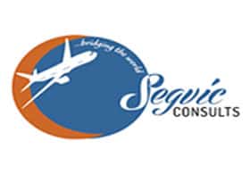 Segvic Consults