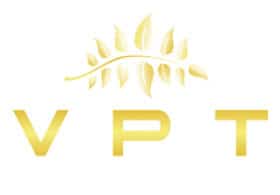 Vietnamese Private Tours