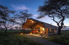 6-Day Tanzania Migration Safari & Calving Season