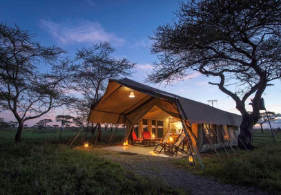 6-Day Tanzania Migration Safari & Calving Season