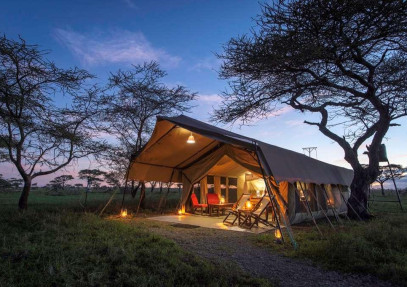 6-Day Tanzania Migration Safari & Calving Season