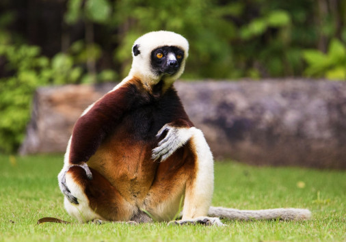 123566027 5001822629858119 6461505753684511222 N