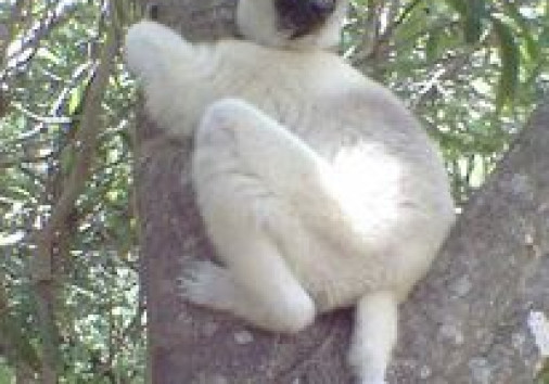 12509325 536570953188372 3098282923161075149 N