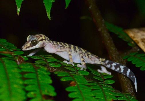 204484962 4089668201114258 9039003660973041028 N