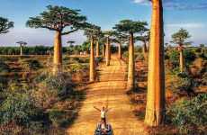 7-Day Madagascar Road and River Adventure