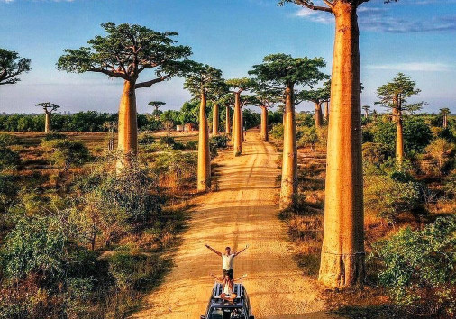 370301152 319012380635280 1773475458292445375 N