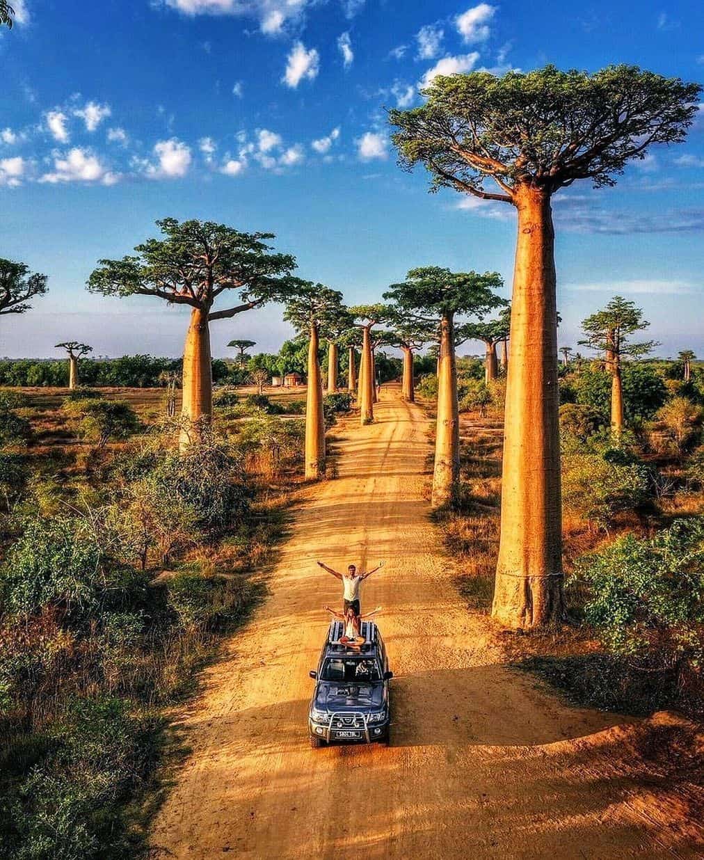 7-Day Madagascar Road and River Adventure