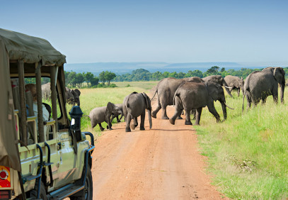 4 Days Tanzania Safari to Tarangire, Serengeti & Ngorongoro Crater