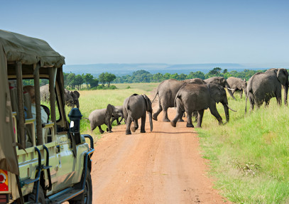 4 Days Tanzania Safari to Tarangire, Serengeti & Ngorongoro Crater