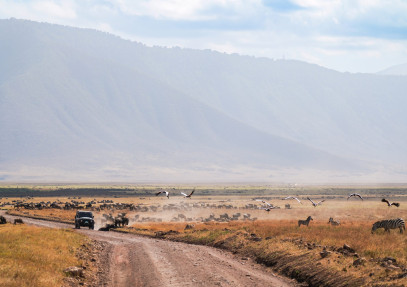 8-Day Comfort Ndutu Migration Calving Experience