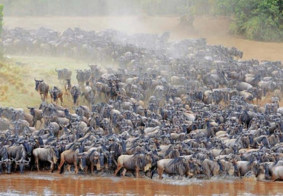 6 Days Calving Season Safari
