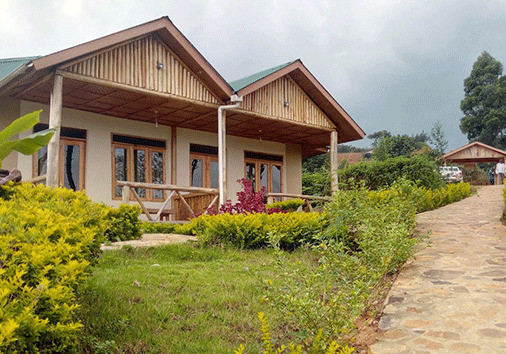 Gorilla Havens Lodge