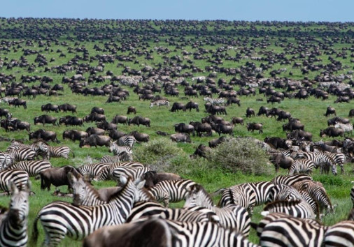 Whatsapp Image 2024 10 15 At 16.16.02 (1)