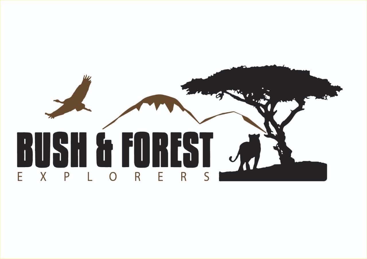 Bush and Forest Explorer African Safaris
