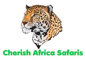 Cherish Africa Safaris