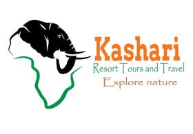 Kashari Tours and Travel